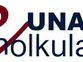 Unanue Aholkulariak